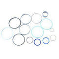FOR JLG SEAL KIT 7029821