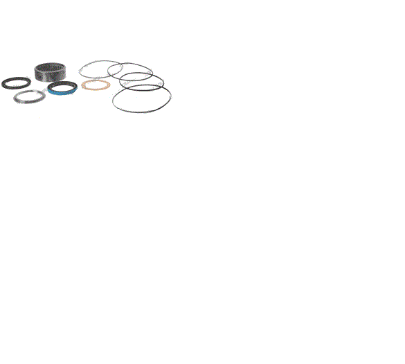 SKYJACK 139520 SEAL KIT - MOTOR