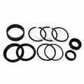 FOR Allis Chalmers 4910088, Seal Kit, For Steering Cylinder