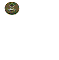 TENNANT 1042492 BRUSH 12 INCH .028 NYLON