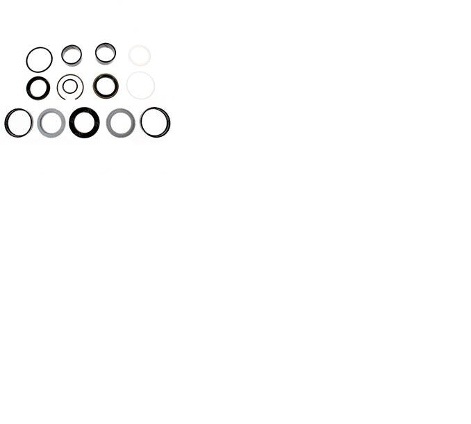 FOR Genie 65788, 65788GT, Seal Kit