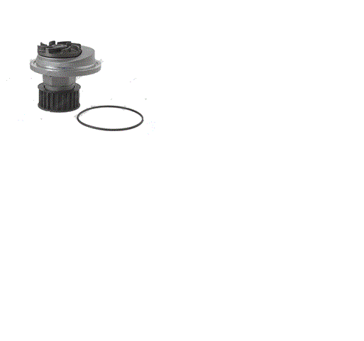 YALE 580057137, WATER PUMP
