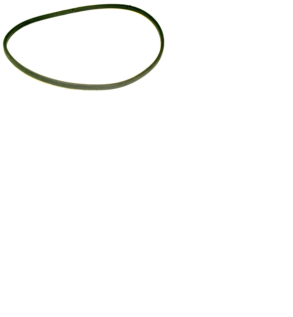 ADVANCE 1458021000 BELT