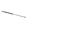 GENIE GAS SPRING 23976, 23976GT