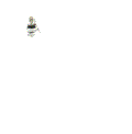 FOR GENIE 23734 KEYSWITCH(OFF-ON)-2 POS ZB2 STYLE
