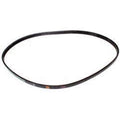 FOR HYSTER BELT - SERPENTINE 4RIBSX985MMOR4RIBSX38.8INCHES 4116722