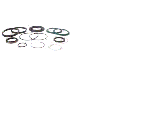 FOR GENIE 77189GT, 77189, SEAL KIT - LIFT CYLINDER