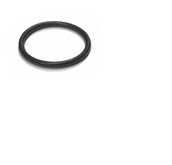 036-125 O-RING FOR BLUE GIANT ROI-5, ROI-55, MTS 2000 HYDRAULIC UNIT