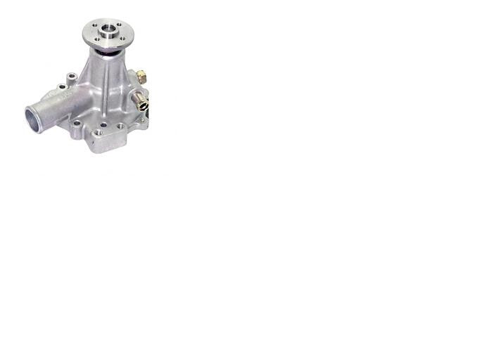 Genie 89763GT / 89763, Water Pump