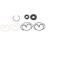 FOR SKYJACK SEAL KIT 169535