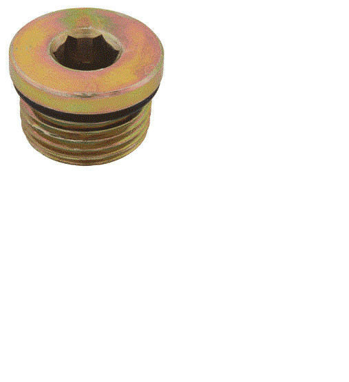 FOR SKYJACK 104437, PLUG - INTERNAL HEX W/O RING