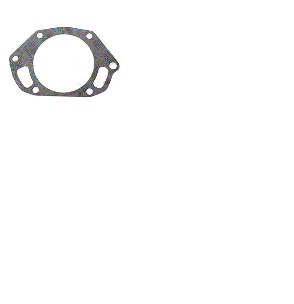 FOR JLG GASKET 10868254