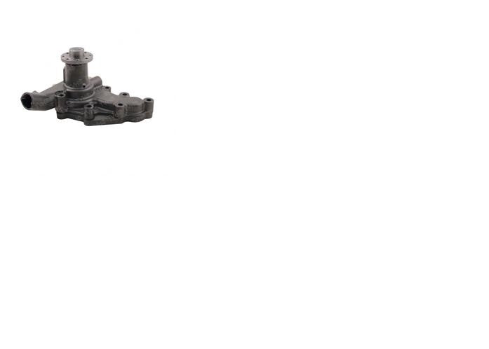 Hyster 1309829, Water Pump