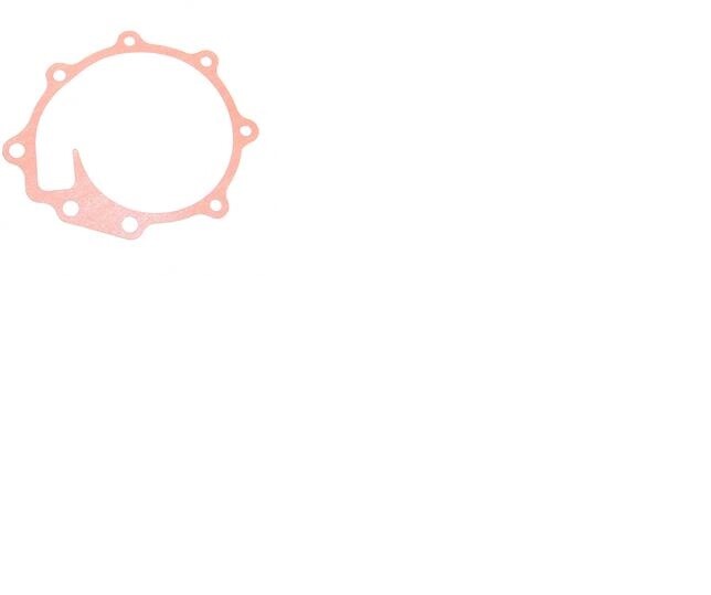 Genie 65492, 65492GT, Water Pump Gasket