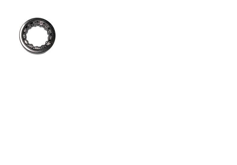 FOR Taylor Dunn Part #: 80-555-00 Roller Bearing