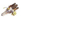 For Hyster 1376940, Distributor