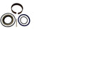 FORKLIFT CYLINDER SEAL KIT 23458-49801 FOR TCM