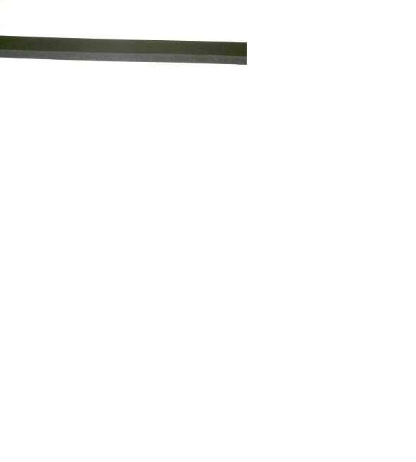 ADVANCE 3-73-00051 GASKET (10' LENGTH)