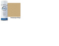 for E-Z-GO SPRAY PAINT - CHAMPAIGNE BEIGE