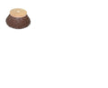 Advance 56477732, Brush
