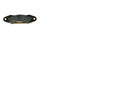 CUSHMAN PLATE + FRICTION ASSEMBLY 883141 HAULSTER TRUCKSTER