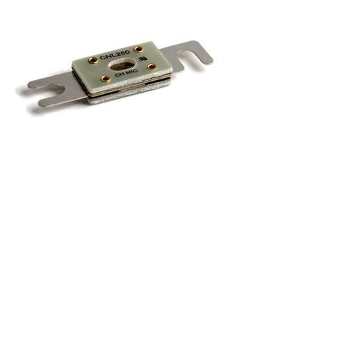 590-587-113 FUSE, 250AMP FOR RAYMOND 8300, 8400, 8500 SERIES