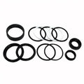 For Allis Chalmers Seal Kit - Steering Cylinder 4913028