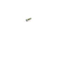050004-001 SCREW FOR CROWN WP 2000