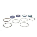 FOR JLG 7023559 SEAL KIT