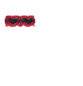 for TENNANT 370025, BRUSH - 36", PROEX SAND WEDGE