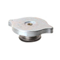 FOR YALE CAP SUB-ASSEMBLY - RADIATOR 901893802