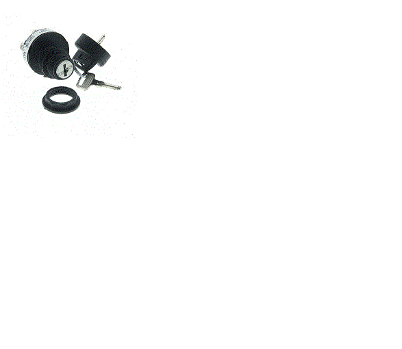 JLG 91503049 SWITCH - KEY KEY REMOVE CENTER ONLY