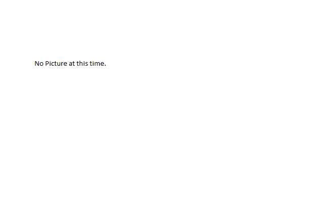 Genie Caster (8" x 2") Part # 57738 - New