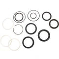 Genie 63352, Hydraulic Seal Kit