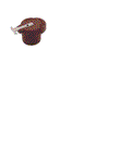 FOR TOYOTA 19102-22010 ROTOR
