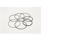 GENIE 62466, 62466GT BRAKE TURNTABLE SEAL KIT
