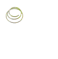 FOR Crown Lift Truck 1.0 RCTF -  SPRING - GREEN ARMATURE  079789