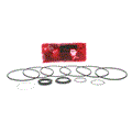 JLG 7024389 MOTOR SEAL KIT