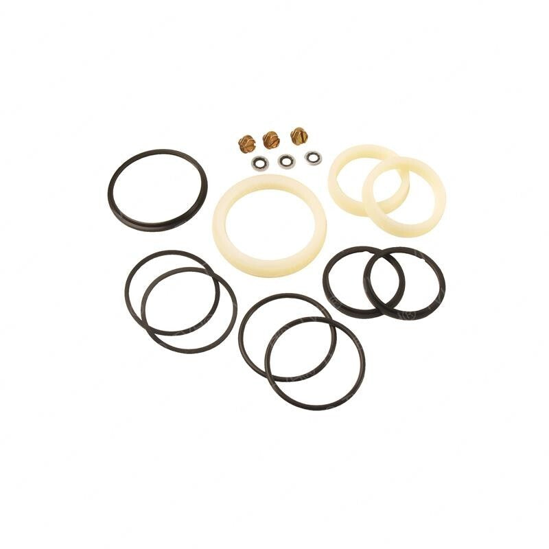 101331 Seal Kit Hydraulic Cylinder for Crown