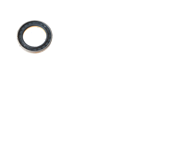 JLG SEAL 91514147