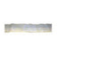 FOR Genie 62055GT, 62055 - NEW FOR Genie GS-2032 Cosmetic Decal