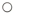 LULL 80304173, SEAL - SHAFT