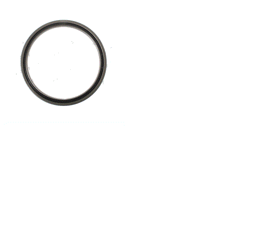 LULL 80304173, SEAL - SHAFT