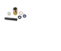090163021 PISTON ASSEMBLY FOR MULTITON TM55 HYDRAULIC UNIT