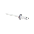 FOR GENIE GRC -12 RIVET STL TAPERED .187 X.250 39579 39579GT