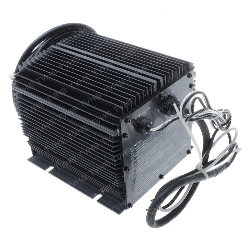FOR Taylor Dunn 79-303-41, Charger