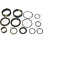 FOR JLG 2901303 - NEW FOR JLG Cylinder Seal Kit