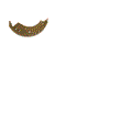 for HYSTER BRAKE SHOE 1338479