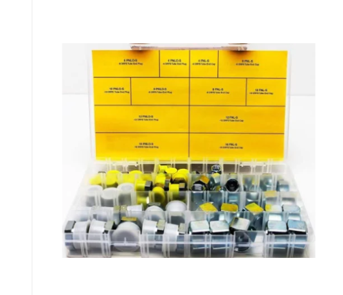 Genie GR-20  PLUG AND CAP KIT-SERVICE ORFS  49613