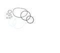 for GENIE 139354GT, 139354, O-RING KIT AUSCO 1200 IN/LB
